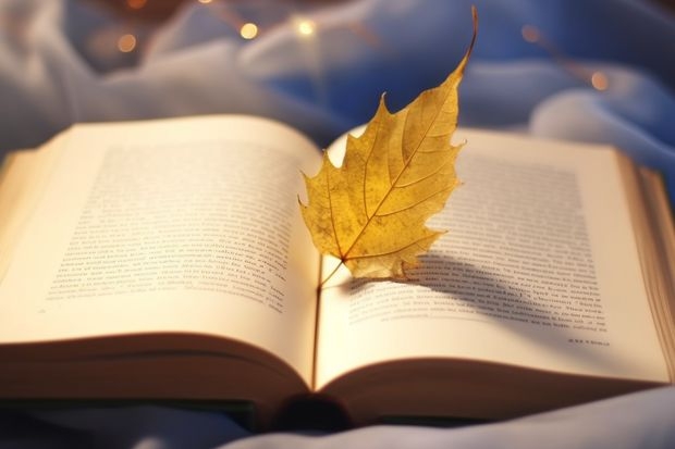 湖州师范学院教育技术学专业分数线是多少(近三年分数线一览)