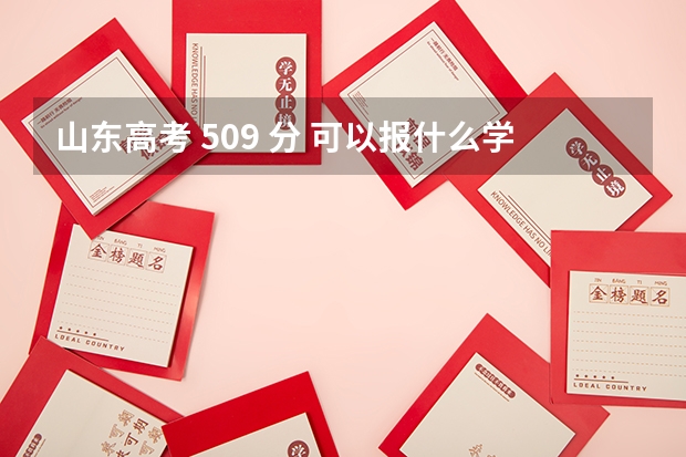 山东高考 509 分 可以报什么学校啊?
