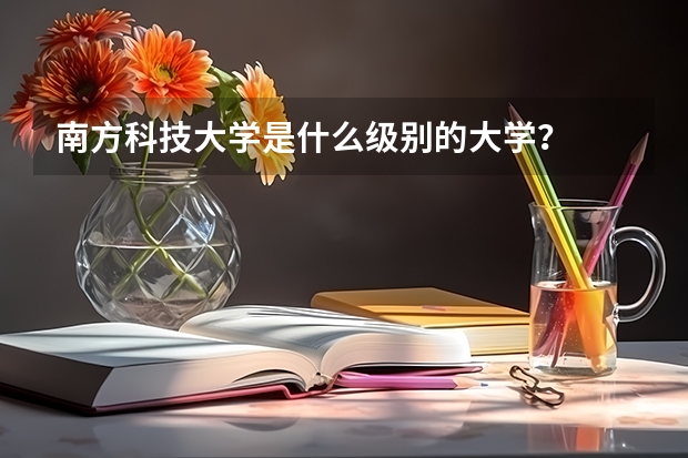 南方科技大学是什么级别的大学？