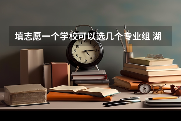 填志愿一个学校可以选几个专业组 湖北高考志愿可以填几个学校几个专业