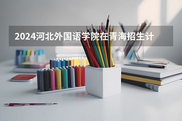 2024河北外国语学院在青海招生计划表