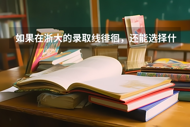 如果在浙大的录取线徘徊，还能选择什么学校做后路（专业要正常）？