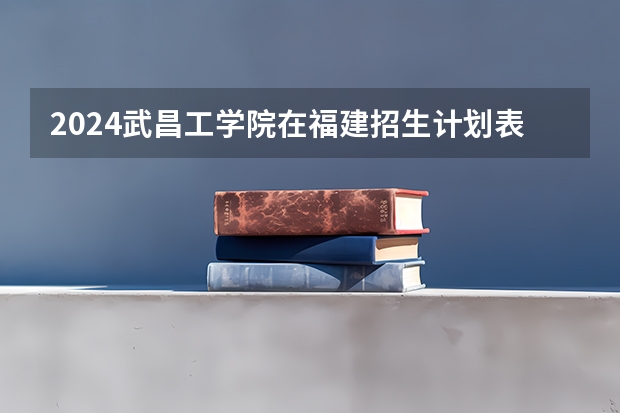 2024武昌工学院在福建招生计划表