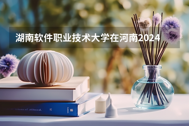 湖南软件职业技术大学在河南2024招生计划如何