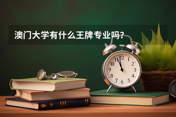 澳门大学有什么王牌专业吗？