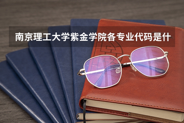 南京理工大学紫金学院各专业代码是什么，我的招生考试报下册没发
