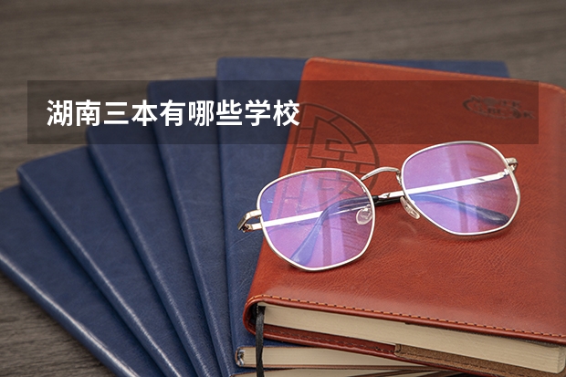 湖南三本有哪些学校