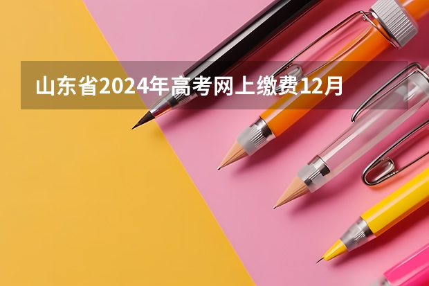 山东省2024年高考网上缴费12月1日-12月5日网上报名操作说明看这里！ 山东夏季高考报名流程