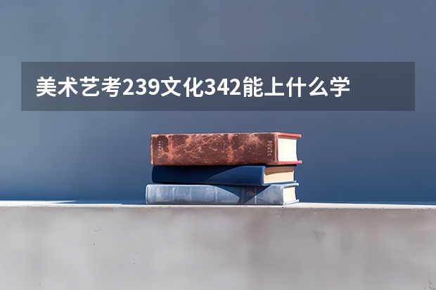 美术艺考239文化342能上什么学校在全国？