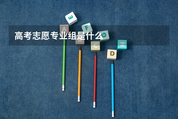 高考志愿专业组是什么