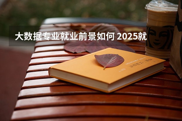 大数据专业就业前景如何 2025就业方向有什么