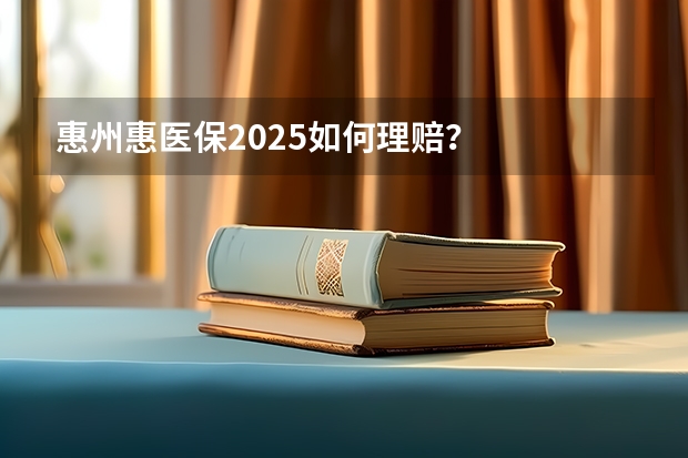 惠州惠医保2025如何理赔?