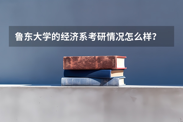 鲁东大学的经济系考研情况怎么样？