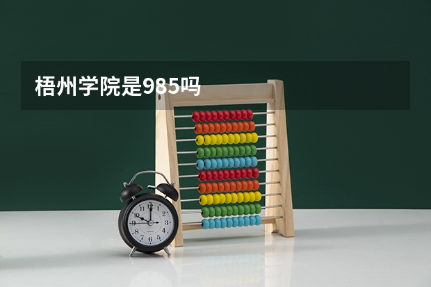 梧州学院是985吗