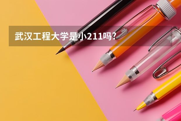 武汉工程大学是小211吗?