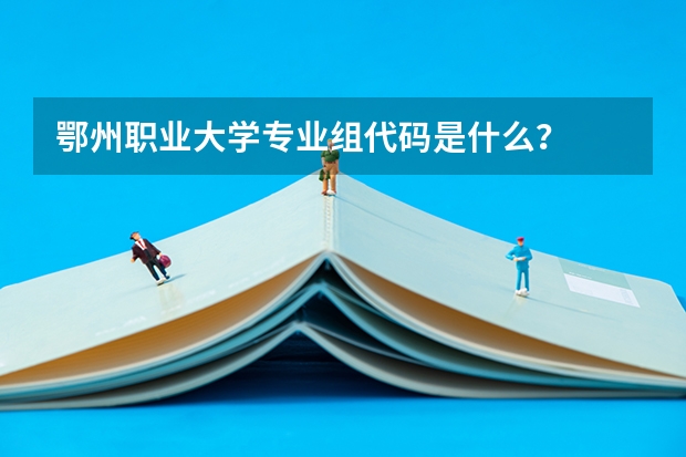 鄂州职业大学专业组代码是什么？