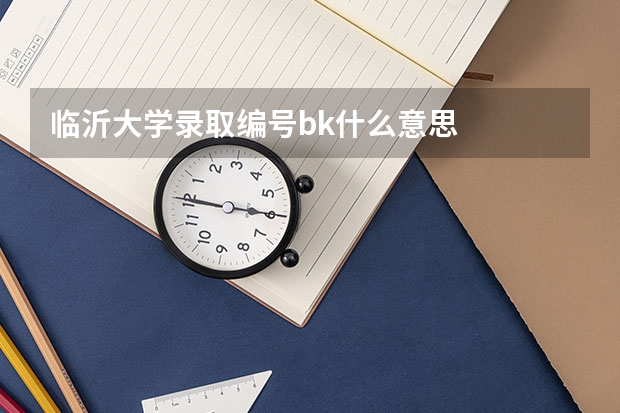 临沂大学录取编号bk什么意思