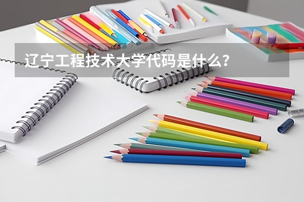 辽宁工程技术大学代码是什么？