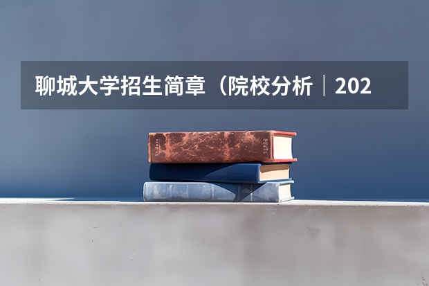 聊城大学招生简章（院校分析｜2024年聊城大学美术与设计学院研究生招生信息）