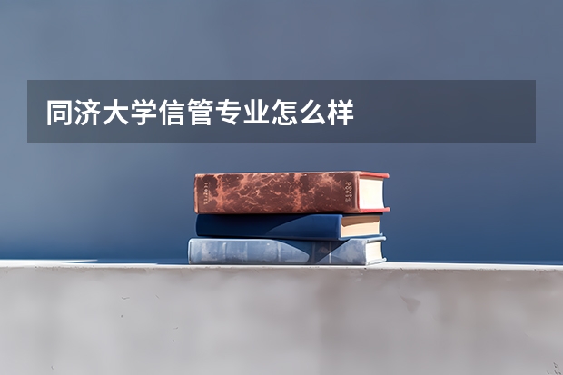 同济大学信管专业怎么样