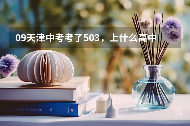 09天津中考考了503，上什么高中好？