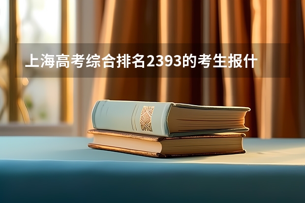 上海高考综合排名2393的考生报什么大学