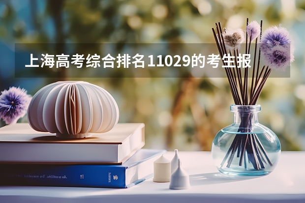 上海高考综合排名11029的考生报什么大学