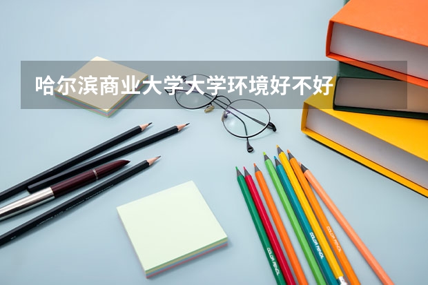 哈尔滨商业大学大学环境好不好