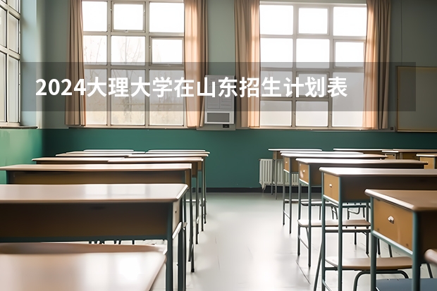 2024大理大学在山东招生计划表
