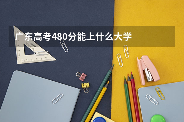 广东高考480分能上什么大学