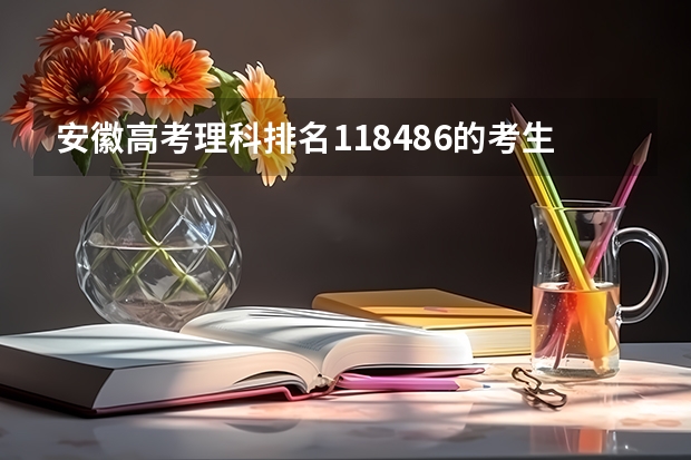安徽高考理科排名118486的考生报什么大学
