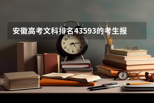安徽高考文科排名43593的考生报什么大学