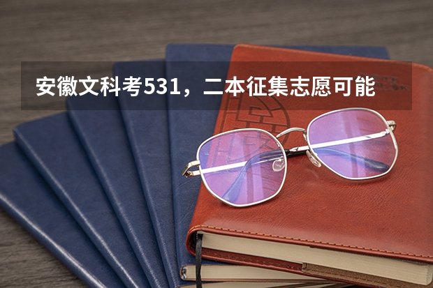 安徽文科考531，二本征集志愿可能性大么(二本534) 我是安徽的一名文科考生！09二本征集志愿时间是哪天啊？很着急啊
