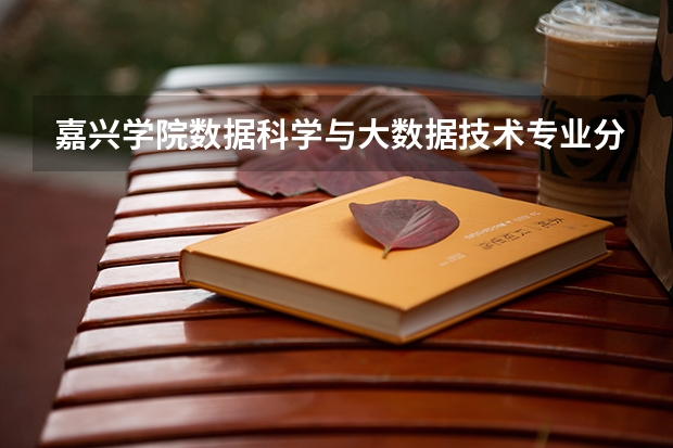 嘉兴学院数据科学与大数据技术专业分数线是多少(近三年分数线一览)