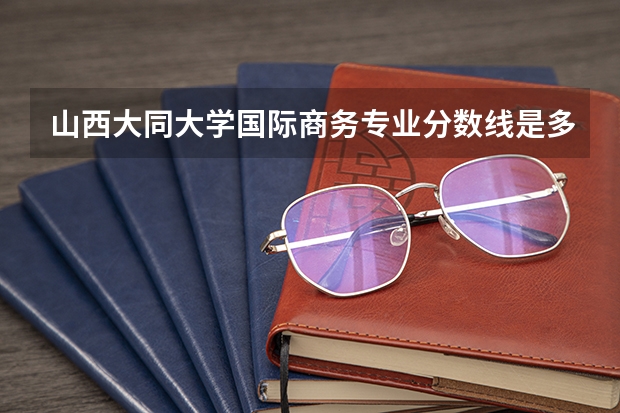 山西大同大学国际商务专业分数线是多少(近三年分数线一览)