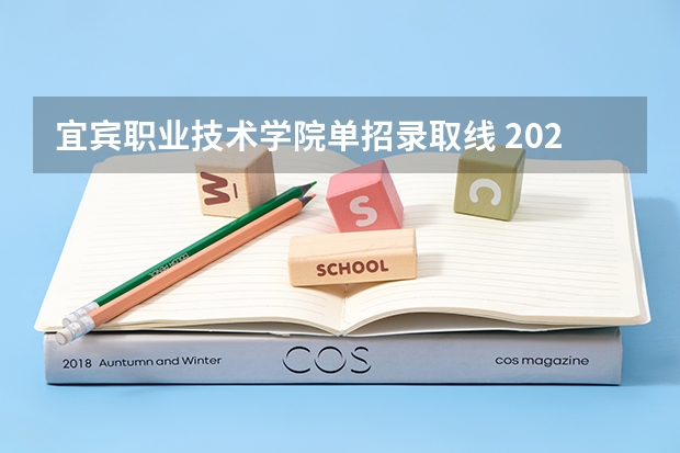 宜宾职业技术学院单招录取线 2024四川单招学校及分数线