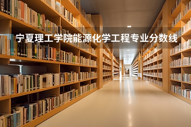 宁夏理工学院能源化学工程专业分数线是多少(近三年分数线一览)