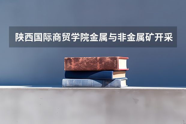 陕西国际商贸学院金属与非金属矿开采技术专业分数线是多少(近三年分数线一览)