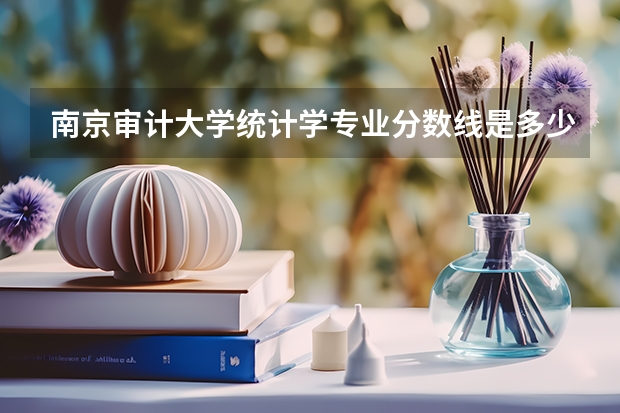 南京审计大学统计学专业分数线是多少(近三年分数线一览)