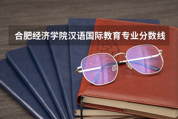 合肥经济学院汉语国际教育专业分数线是多少(近三年分数线一览)