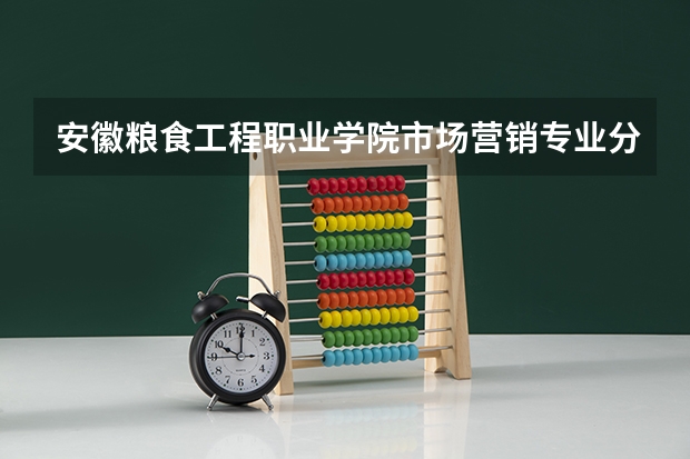安徽粮食工程职业学院市场营销专业分数线是多少(近三年分数线一览)